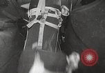 Standbild C-119 Flying Boxcar Seoul Korea, 1952, aus Sekunde 43 historischem Filmmaterial Videoclip 65675060000