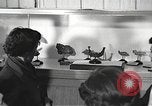 Image of American Dependent School students Heidelberg Germany, 1952, second 4 stock footage video 65675060024