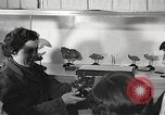 Image of American Dependent School students Heidelberg Germany, 1952, second 7 stock footage video 65675060024
