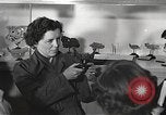 Image of American Dependent School students Heidelberg Germany, 1952, second 11 stock footage video 65675060024