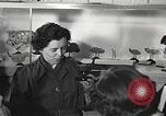 Image of American Dependent School students Heidelberg Germany, 1952, second 13 stock footage video 65675060024