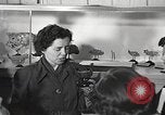 Image of American Dependent School students Heidelberg Germany, 1952, second 15 stock footage video 65675060024