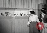Image of American Dependent School students Heidelberg Germany, 1952, second 42 stock footage video 65675060024