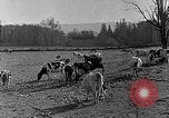 Image of animated map of Northeastern States United States USA, 1942, second 27 stock footage video 65675060049