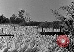 Image of animated map of Northeastern States United States USA, 1942, second 36 stock footage video 65675060049