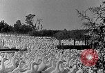Image of animated map of Northeastern States United States USA, 1942, second 37 stock footage video 65675060049