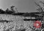Image of animated map of Northeastern States United States USA, 1942, second 38 stock footage video 65675060049