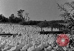 Image of animated map of Northeastern States United States USA, 1942, second 39 stock footage video 65675060049