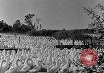 Image of animated map of Northeastern States United States USA, 1942, second 40 stock footage video 65675060049