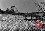 Image of animated map of Northeastern States United States USA, 1942, second 41 stock footage video 65675060049