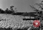 Image of animated map of Northeastern States United States USA, 1942, second 42 stock footage video 65675060049