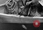 Image of fishermen in northeastern United States United States USA, 1942, second 5 stock footage video 65675060050