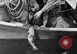 Image of fishermen in northeastern United States United States USA, 1942, second 7 stock footage video 65675060050