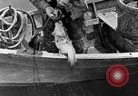Image of fishermen in northeastern United States United States USA, 1942, second 8 stock footage video 65675060050