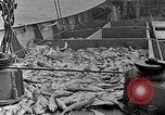 Image of fishermen in northeastern United States United States USA, 1942, second 11 stock footage video 65675060050