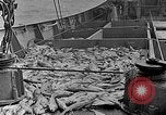 Image of fishermen in northeastern United States United States USA, 1942, second 12 stock footage video 65675060050