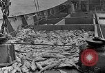 Image of fishermen in northeastern United States United States USA, 1942, second 13 stock footage video 65675060050