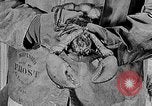 Image of fishermen in northeastern United States United States USA, 1942, second 21 stock footage video 65675060050