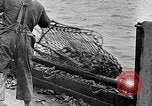Image of fishermen in northeastern United States United States USA, 1942, second 28 stock footage video 65675060050