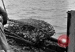 Image of fishermen in northeastern United States United States USA, 1942, second 29 stock footage video 65675060050