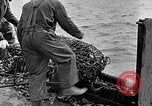 Image of fishermen in northeastern United States United States USA, 1942, second 30 stock footage video 65675060050