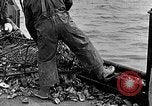 Image of fishermen in northeastern United States United States USA, 1942, second 32 stock footage video 65675060050