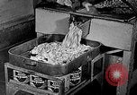 Image of fishermen in northeastern United States United States USA, 1942, second 33 stock footage video 65675060050