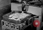 Image of fishermen in northeastern United States United States USA, 1942, second 34 stock footage video 65675060050