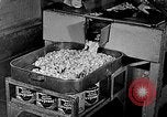 Image of fishermen in northeastern United States United States USA, 1942, second 35 stock footage video 65675060050