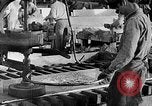 Image des wagons de chemin de fer chargés de charbon United States USA, 1942, de la seconde 46 séquences d'archives historiques vidéo 65675060051