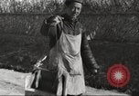 Image United States Marine Corps Beijing Chine, 1947, de la seconde 13 séquences d'archives historiques vidéo 65675060069