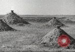 Image United States Marine Corps Beijing Chine, 1947, de la seconde 22 séquences d'archives historiques vidéo 65675060069