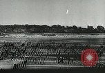 Image défenses allemandes sur la Manche et la côte de l'Atlantique Normandie France, 1943, de la seconde 39 séquences d'archives historiques vidéo 65675060091