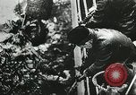 Immagine di Convoglio navale britannico che scortava navi mercantili della seconda guerra mondiale Oceano Atlantico settentrionale, 1941, secondo 45 filmato di repertorio 65675060092