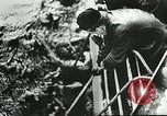 Immagine di Convoglio navale britannico che scortava navi mercantili della seconda guerra mondiale Oceano Atlantico settentrionale, 1941, secondo 47 filmato di repertorio 65675060092