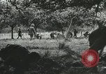 Immagine di Truppe alleate e attrezzature essendo portata a terra sulla spiaggia di Omaha Normandia Francia, 1944, secondo 57 filmato di repertorio 65675060099