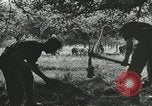 Immagine di Truppe alleate e attrezzature essendo portata a terra sulla spiaggia di Omaha Normandia Francia, 1944, secondo 58 filmato di repertorio 65675060099