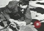 Image of Allies capturing Cherbourg during World War II France, 1944, second 20 stock footage video 65675060101