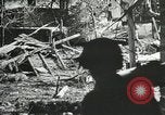 Image of U.S. Forces in Operation Cobra, World War II France, 1944, second 53 stock footage video 65675060103
