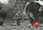 Standbild Amerikanische und deutsche Kräfte konvergieren in der Schlacht nach der Invasion der Normandie Mortain Frankreich, 1944, aus Sekunde 54 historischem Filmmaterial Videoclip 65675060104