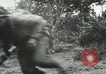 Standbild Amerikanische und deutsche Kräfte konvergieren in der Schlacht nach der Invasion der Normandie Mortain Frankreich, 1944, aus Sekunde 55 historischem Filmmaterial Videoclip 65675060104