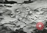 Image American les unités aéroportées chuter au niveau Holland, 1945, de la seconde 12 séquences d'archives historiques vidéo 65675060109