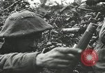 Image alliés s'emparer du contrôle de rivière Escaut Anvers Belgique, 1945, de la seconde 50 séquences d'archives historiques vidéo 65675060110