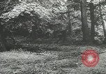 Image la Bataille des Ardennes Ardennes Belgique, 1944, de la seconde 19 séquences d'archives historiques vidéo 65675060112