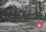 Image la Bataille des Ardennes Ardennes Belgique, 1944, de la seconde 20 séquences d'archives historiques vidéo 65675060112