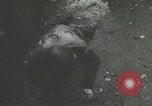 Image la Bataille des Ardennes Ardennes Belgique, 1944, de la seconde 43 séquences d'archives historiques vidéo 65675060112