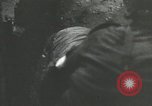 Image la Bataille des Ardennes Ardennes Belgique, 1944, de la seconde 45 séquences d'archives historiques vidéo 65675060112