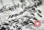 Image of Field Marshal Albert Kesselring Germany, 1945, second 3 stock footage video 65675060116