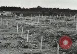 Image of Field Marshal Wilhelm Keitel Germany, 1945, second 56 stock footage video 65675060117