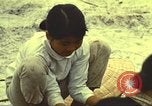 Image of 3rd Brigade 82nd Airborne Division Phu Bai Hue Vietnam, 1968, second 8 stock footage video 65675060123
